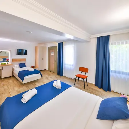 The Hotel *