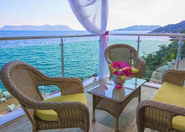 The Hotel *